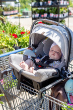 Load image into Gallery viewer, Totes Babies Car Seat Carrier