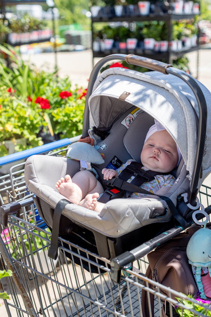 Totes Babies Car Seat Carrier